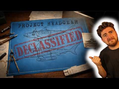The Navy Tried To Train Sharks and It Backfired Badly!