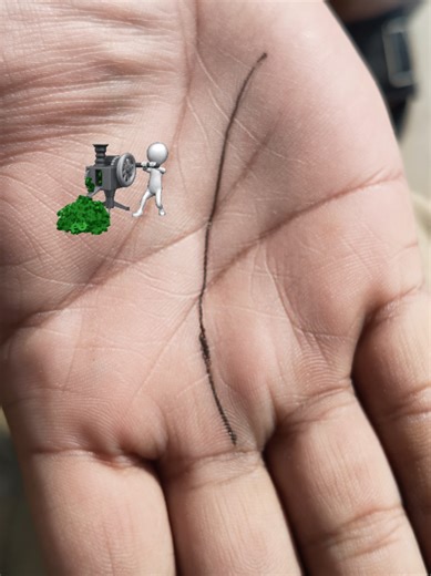 Millionaire Business Strategies for Success