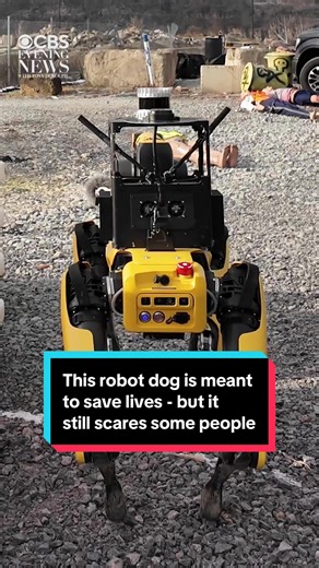 Meet the Life-Saving Robot Dog from Carnegie Mellon