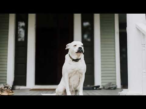 Septic problems! Here's your quick fix!