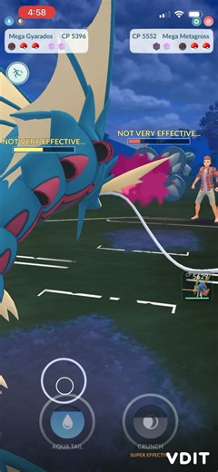 Mega Gyarados owns Mega Metagross