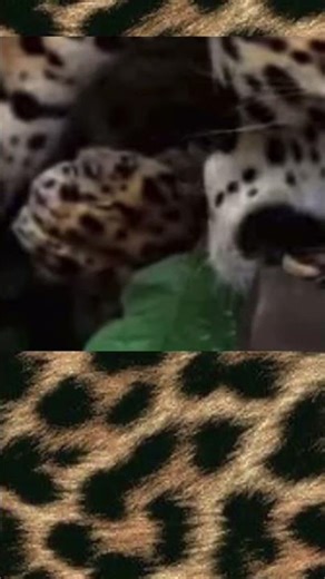 What’s the Difference Between Codes and Ciphers?