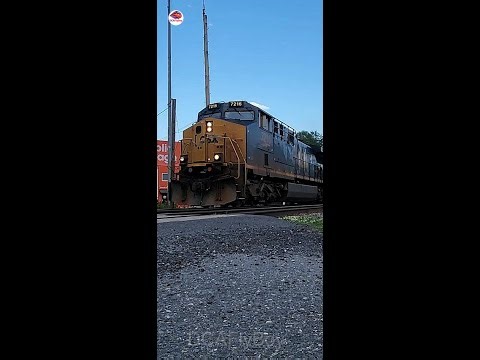 Saluting a CSX Train When You Show Respect The Sun Shines MUST WATCH! Do you salute passing trains?