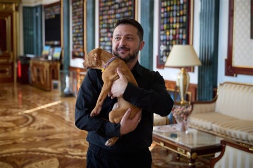 Ukraine’s president coos over a puppy, starting a new volley in his war of visuals against Russia
