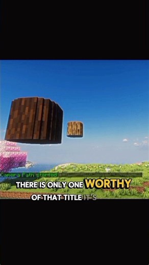 Witch minecraft wood is best ? #minecraft #aura #voz