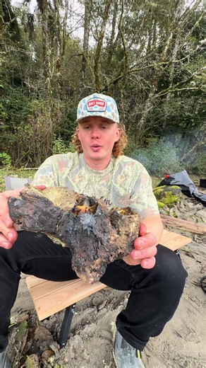 The Seafood You’ve Probably Never Heard Of