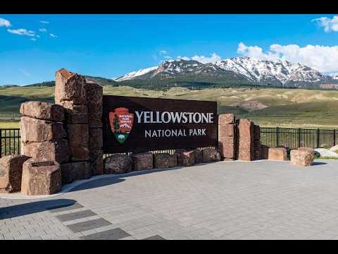 Bear Injures 2 in Encounter at Yellowstone National Park