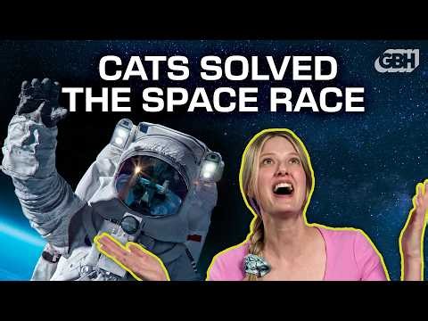 Cats Accidentally Solved a Physics Mystery | What the Physics?!