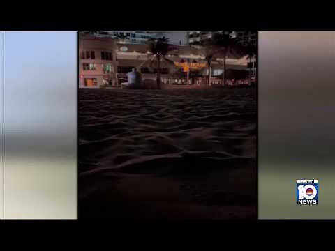 Video showing turtle hatchlings crawling toward Fort Lauderdale hotel lights prompts backlash