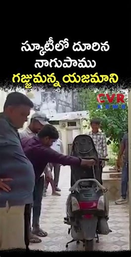 స్కూటీలో దూరిన నాగుపాము గజ్జుమన్న యజమాని | Viral Video | CVR NEWS
