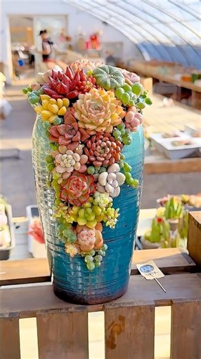 DIY Colorful Succulent Arrangement | Stunning Tabletop Garden