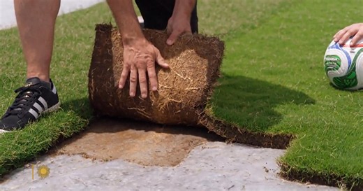 Pitch perfect: Developing natural grass for the World Cup