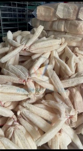 Visit WINVN's Large-Scale Loofah Production Factory in Vietnam. #madeinvietnam #sustainability