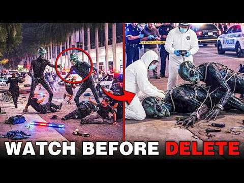 BREAKING NEWS: New Developments in Miami Alien Case Caught on Camera — Watch Before It’s Delete