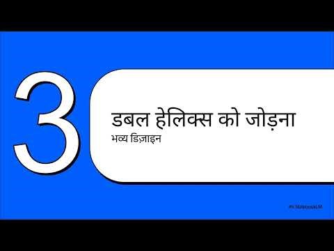 Nucleic Acids Explained (Hindi) | DNA Structure, B-DNA vs Z-DNA & Denaturation | Biochemistry