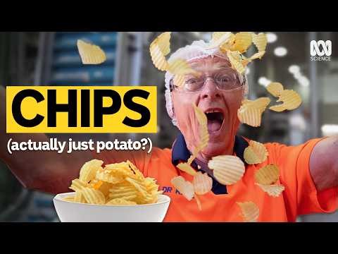 How 2,300 Kilos Of Potatoes Become Chips in 60 Minutes