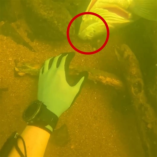 Didn't expect to find this 😳 | D ALL MY D