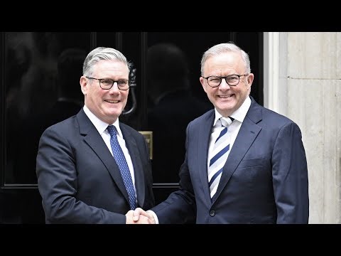 ‘Two pathetic peas in a pod’: Albanese and Starmer ‘sit back as spectators’ to Iran war