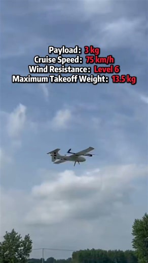 Skywalker SKY245 Fixed Wing VTOL Drones