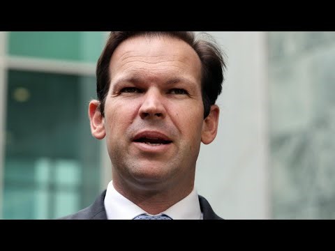 ‘We should be picky’: Matt Canavan speaks on plans to reduce migration to Australia