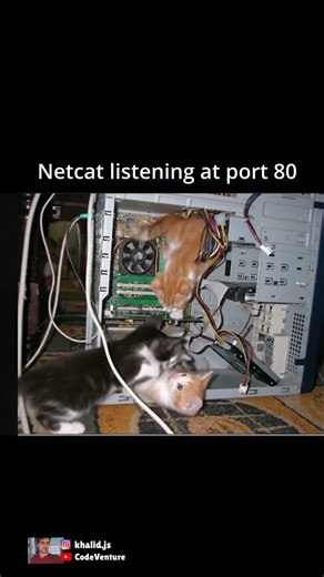 netkitty #coding #programming #javascript #python