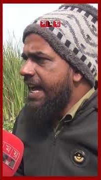 ক্ষুধা নিবারণে কৃষক খান হোগলা গাছের মূল #hoglaplant #pirojpur #shorts #somoytv