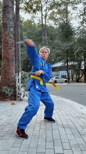 Plan to be late for class [BEN EAGLE US] #beneagle #beneagleus #kungfu #fighting #action