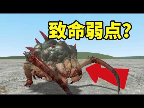 The headcrab parasitized by alien plants revealed a fatal weakness.