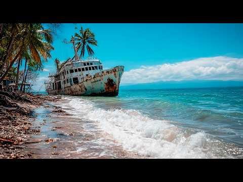 Worlds Forgotten Shipwreck Giants – You Wont Believe the Size!