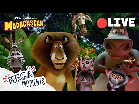 LIVE 🔴 The BEST of Madagascar Movies 🦁🦒🦓🦛 | Madagascar 1 - 3 Extended Previews | Mega Moments