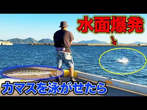 【離島生活#83】30cm超えの餌を海に投げ込んだ瞬間巨大魚が...