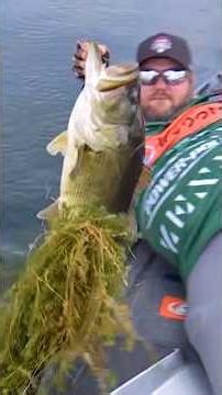 11-0 largemouth caught live on camera at Heavy Hitters on Orange Lake