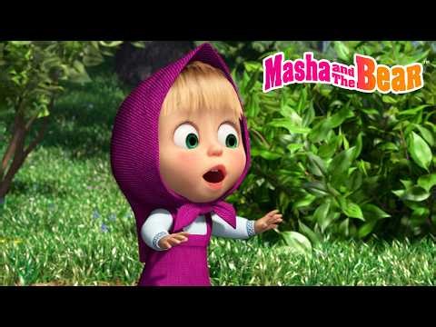 🎒🔎 Where is Everyone? 🐻🌿 Best Episodes Cartoon Collection 🎬 Masha and the Bear 2026