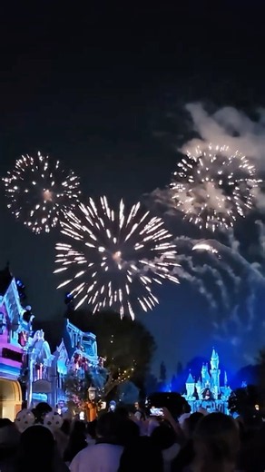 A 3-Second Firework That Stole the Entire Show #Disneyland #Shorts #mickey