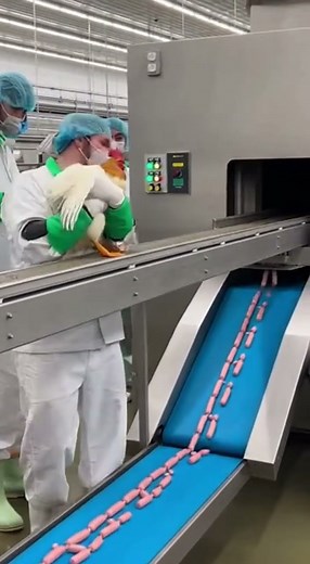 Grind & Mold: Non-Stop Work in Poultry Sausage Production.