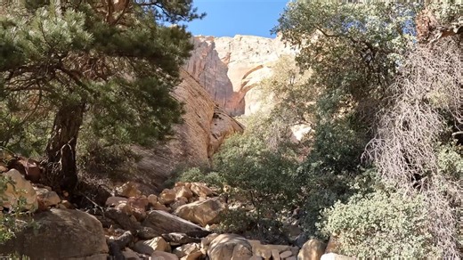 They Came to Climb Vegas—The Ending Changed Everything