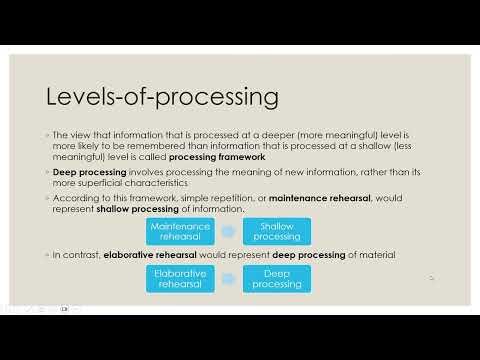 Long-Term Memory Explained | Psychology Series Part 5