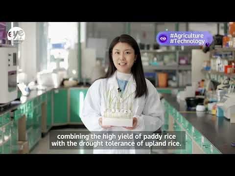 How Shanghai grows more with less