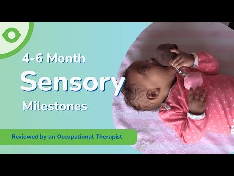 4-6 Month Sensory Milestones | How Your Baby Explores With Hands, Eyes & Mouth