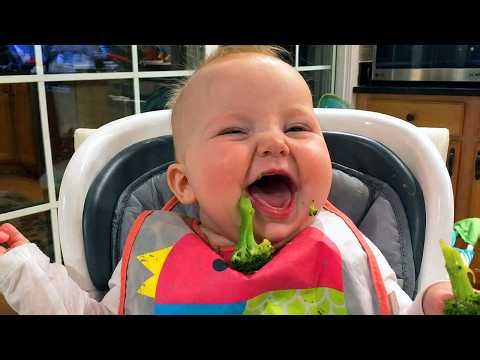 Try Not To Laugh - Funny Baby Fails Compilation | Cutest Chaos Ever! Funny Baby Videos