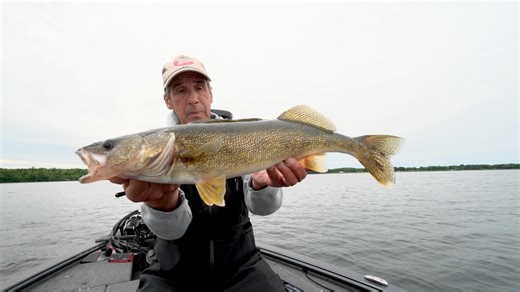 James Lindner Catches a nice midsummer walleye while fishing over a flat. Using baits you can quickly rip and cover water with is important for this bite. #fishing #walleye #anglingedge #bubbablade #seafoam #humminbird #minnkota | Lindner's Angling Edge