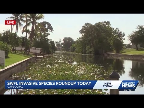Anglers reel in invasive species at 2026 Southwest Florida Invasive Freshwater Fish Roundup