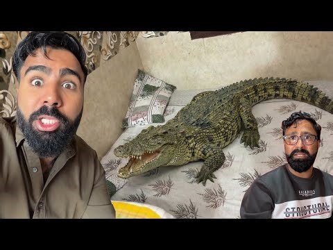 Ye Kya Ghus Gaya Chacha Ke Ghar Me 😨 || NIkku Vlogz