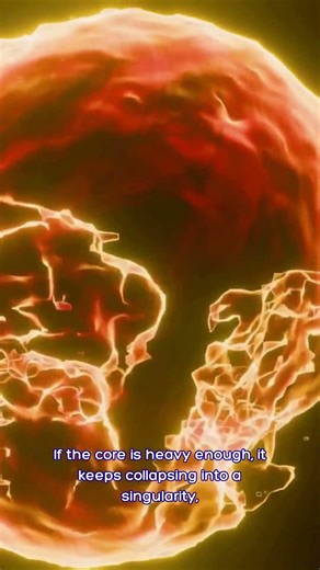 How Black Holes are Born: From Supernova Explosions to the Event Horizon