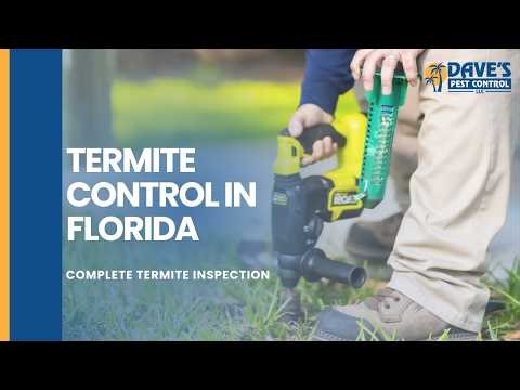 Termite Control in Florida: Complete Termite Inspection