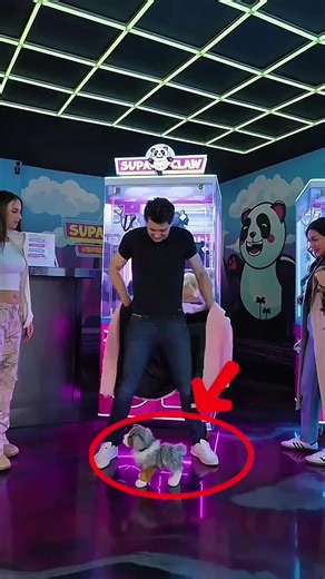 Amazing Magic Tricks Revealed for Beginners