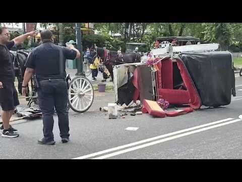 Carriage horse rides pause after 18-year-old tourist's death in Central Park
