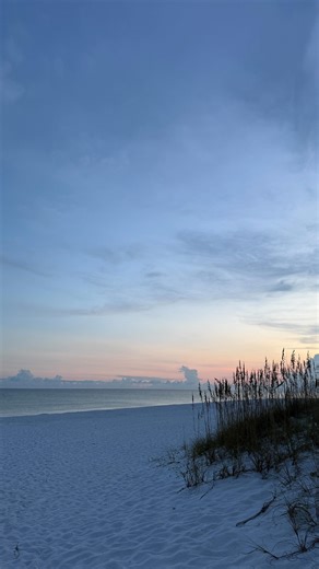 Alana on Instagram: "6AM MORNING ROUTINE🤍🤸🏽‍♀️🌸 #fyp #morningroutine #6am #productive #postgrad"