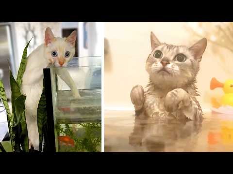 #27 Die besten Videos 2026 || ✪ Stern DuTube