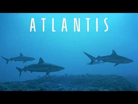 Atlantis | A 4K Underwater Masterpiece by Luc Besson | Full Movie